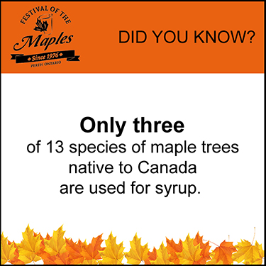 maple-fun-facts-3-species The Pepper Mustache