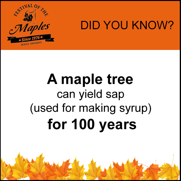 maple-fun-facts-sap-100-years The Pepper Mustache